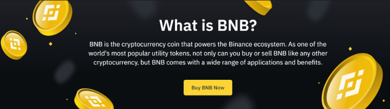 ©binance.com/en/bnb