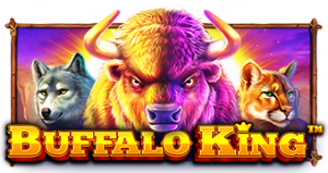 Buffalo King