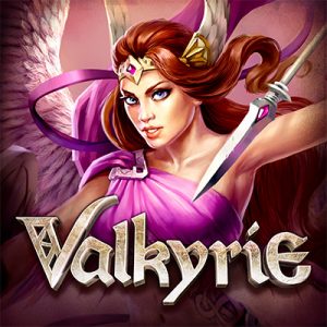 ELK-Valkyrie