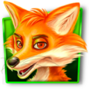 Roosters Revenge fox