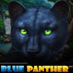 avalon Blue Panther