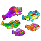 Big Bass Rock and Roll Fische