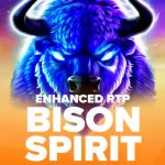 bison spirit logo