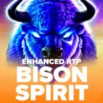 bison spirit logo klein