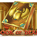 Book of Dead Wild Cards