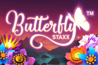 butterfly-staxx.jpg