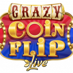crazy coin flip logo