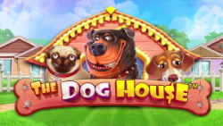 doghouse