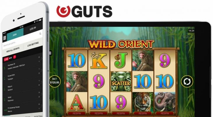 Guts Casino App