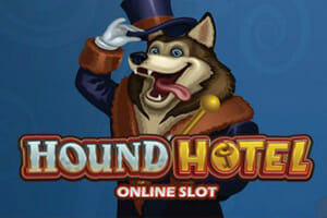 microgaming hound hotel