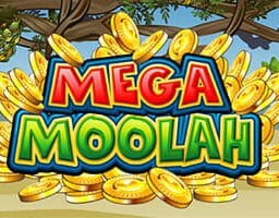 microgaming-mega-moolah