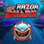 Razor Shark Logo